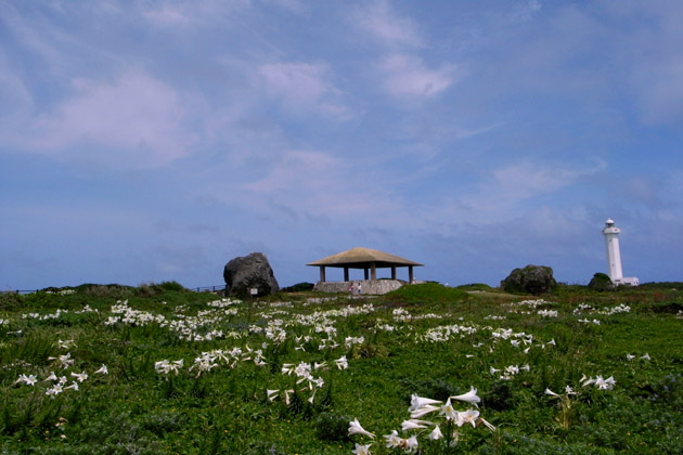 d0026414_19111970.jpg