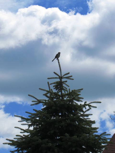 c0120817_3123998.jpg