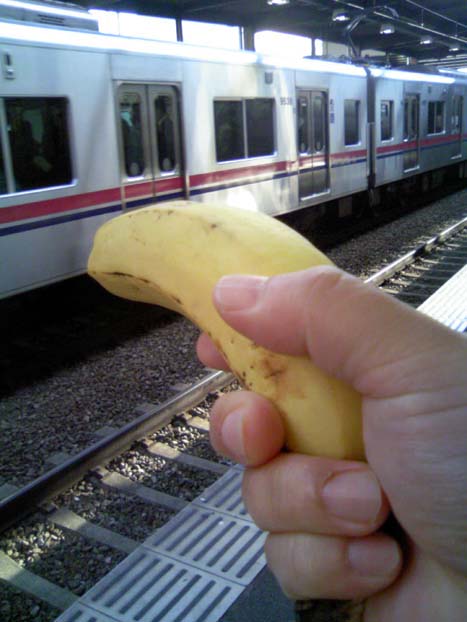 c0083518_8392518.jpg