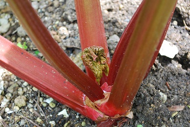 e0119120_1214343.jpg