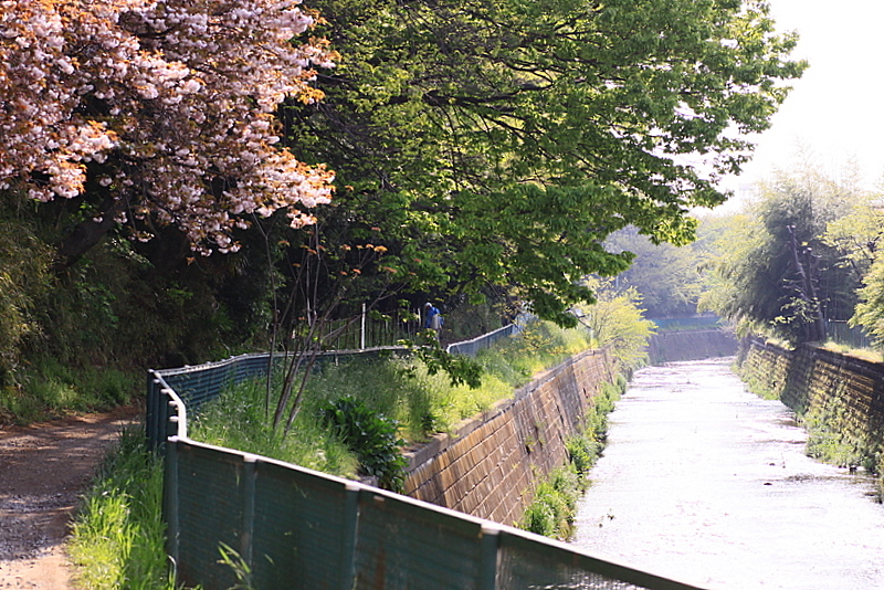 b0165522_13284316.jpg