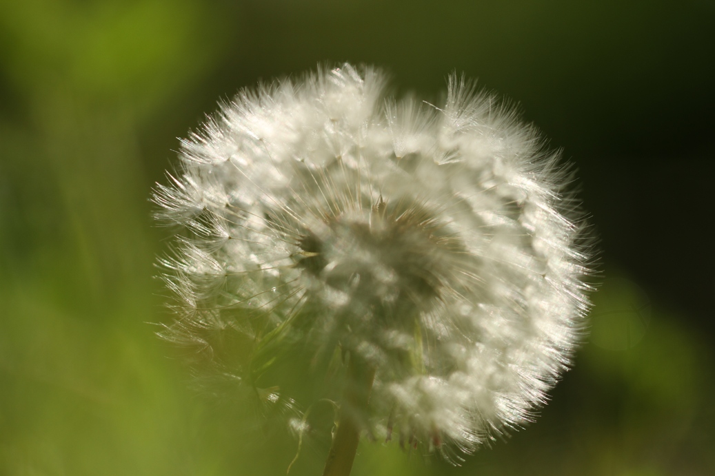 b0146723_18304381.jpg