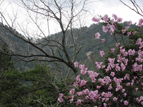 b0150023_17552568.jpg