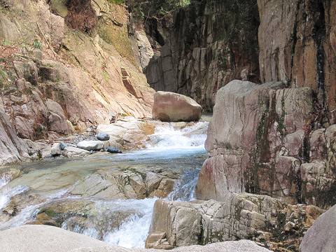 b0150023_1756110.jpg