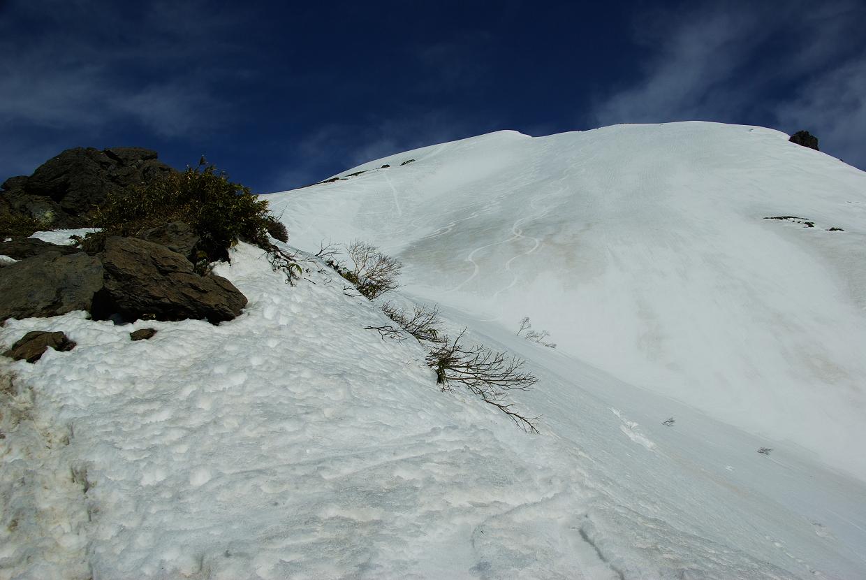 b0062024_19391046.jpg