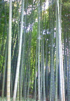 e0071324_23473981.jpg