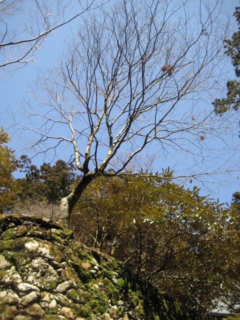 d0147727_19202752.jpg
