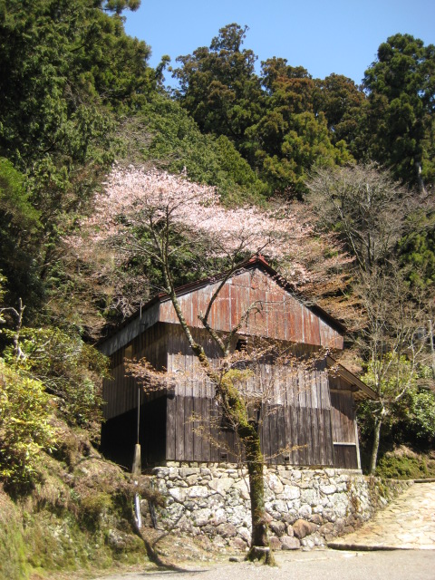 d0147727_1921222.jpg