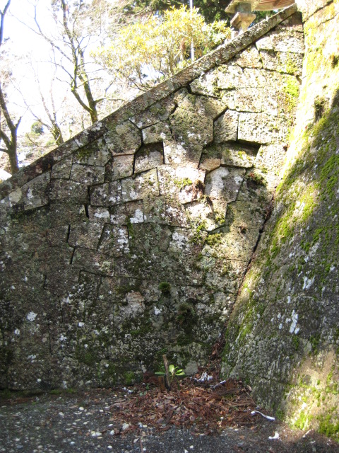d0147727_19271892.jpg