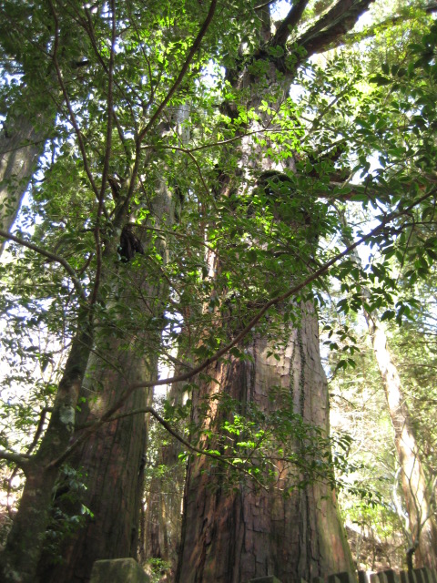 d0147727_19294378.jpg