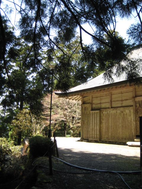 d0147727_193637.jpg