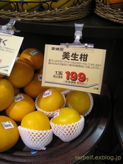 c0134734_2312475.jpg