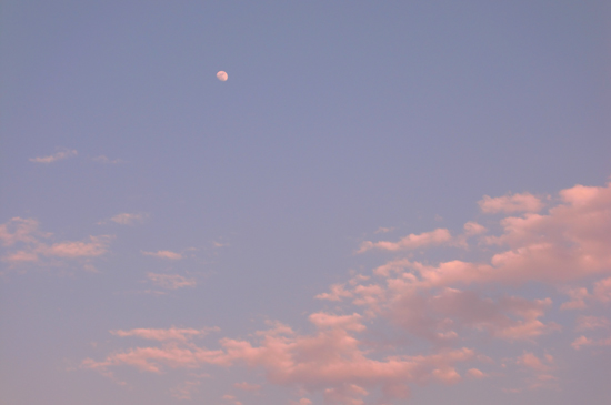e0044635_22392153.jpg