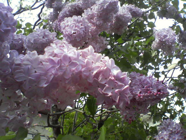 f0237037_19142593.jpg