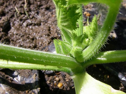 a0034438_14225259.jpg