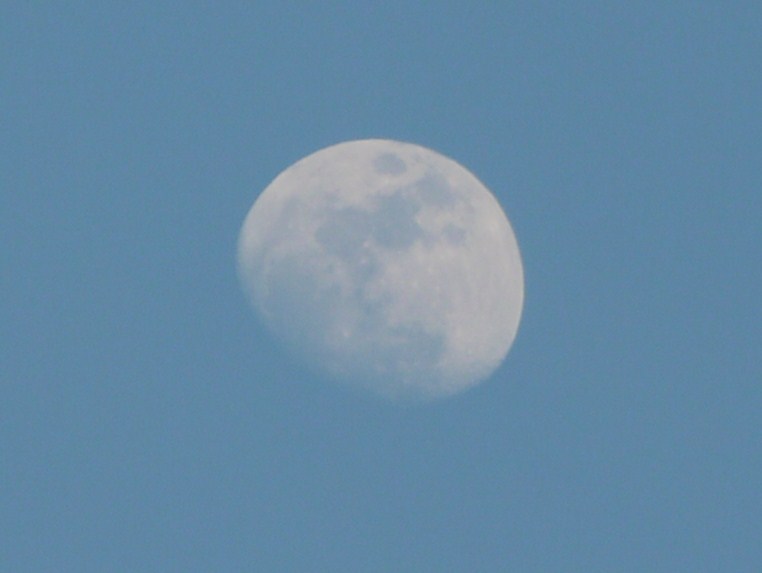 b0190242_11699.jpg