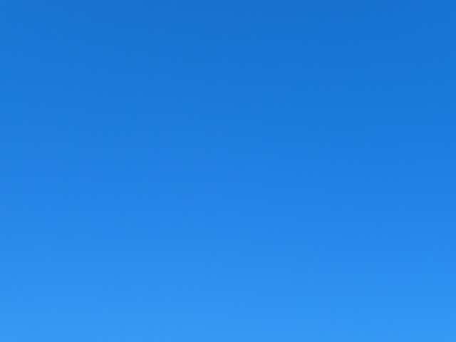 b0190242_123495.jpg
