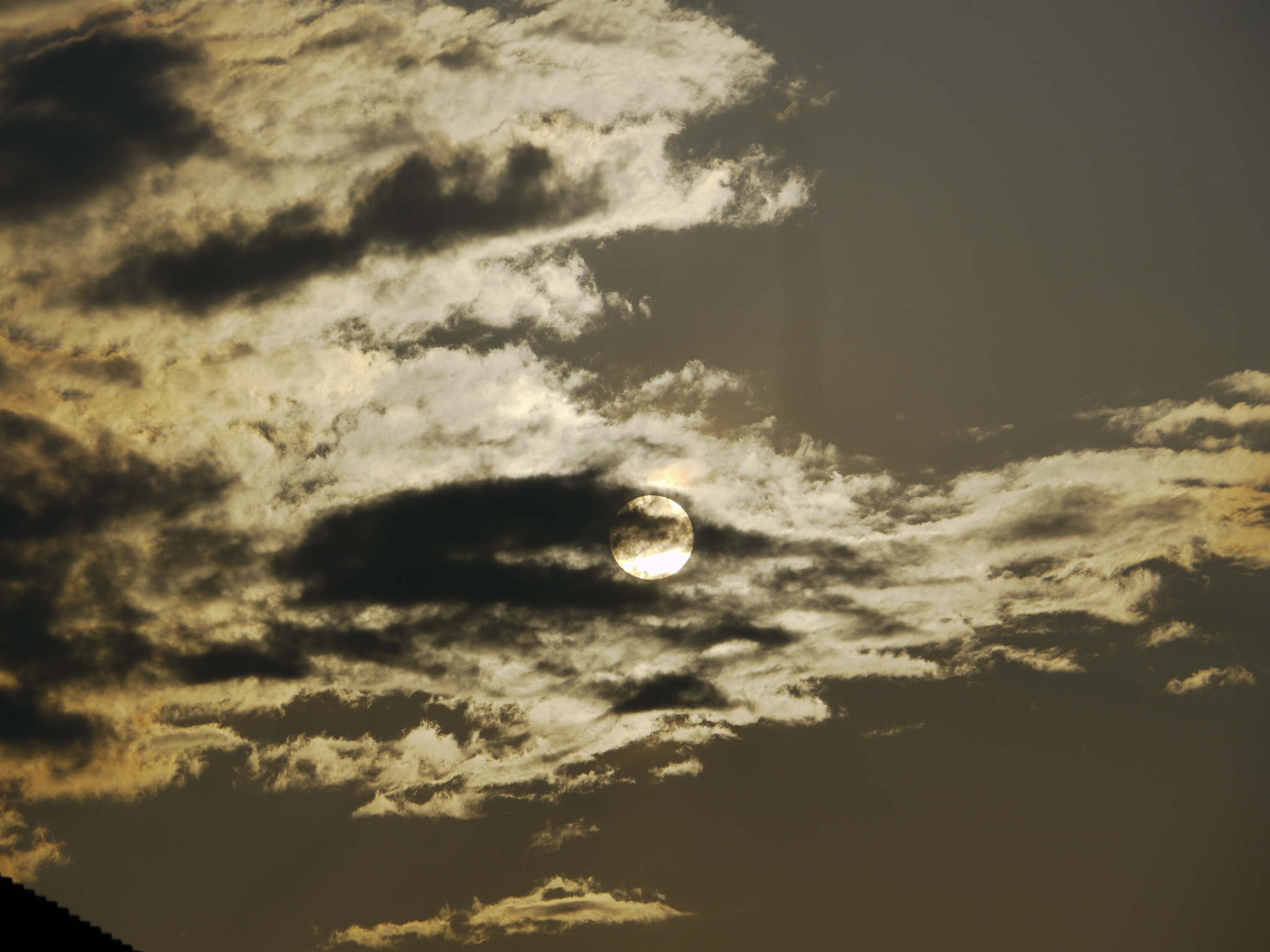 b0190242_1647.jpg