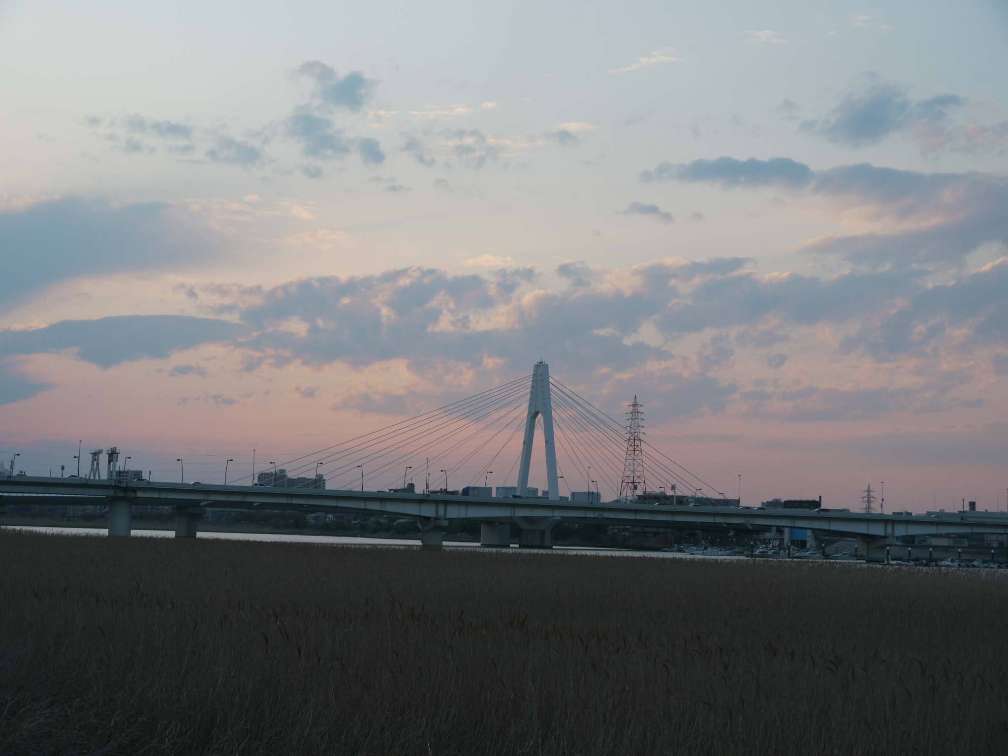 b0190242_191789.jpg
