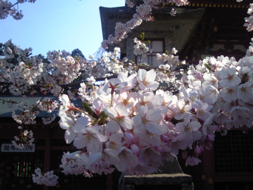 d0065042_23243216.jpg