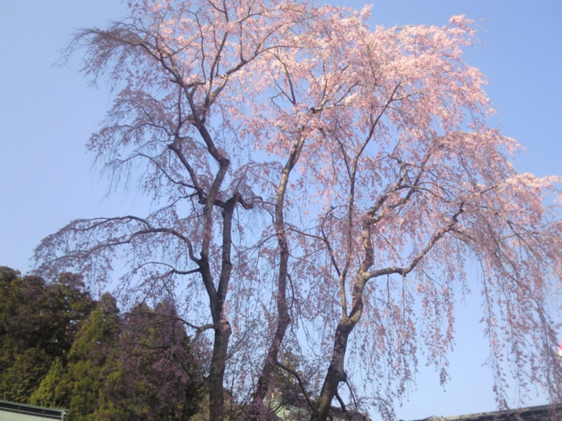 d0065042_2324579.jpg