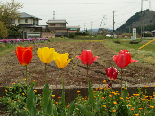 c0072843_12535865.jpg