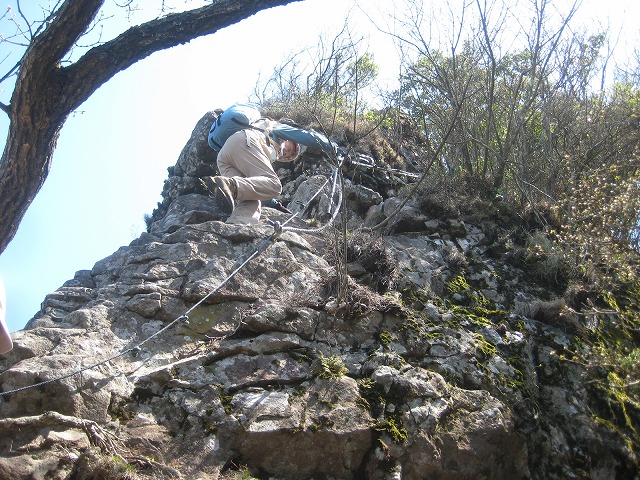 e0164643_1652715.jpg
