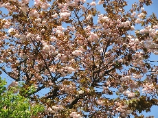 c0122445_1916394.jpg
