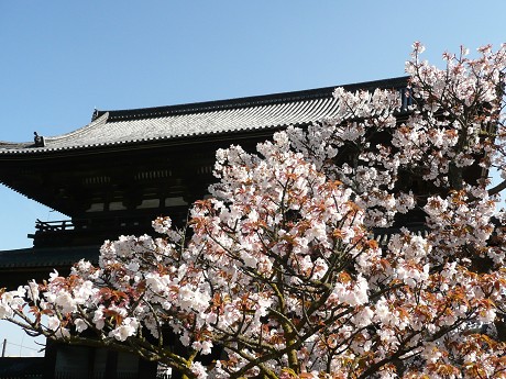 c0057946_2011337.jpg