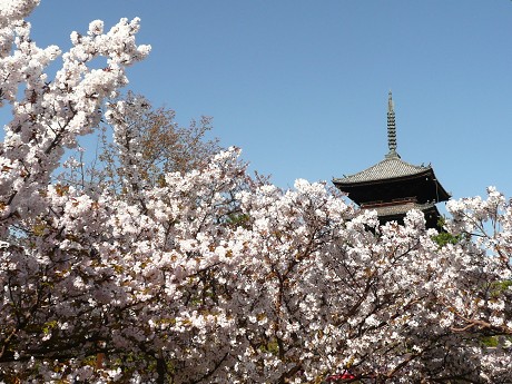 c0057946_203996.jpg