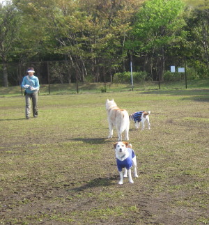 e0121548_221188.jpg