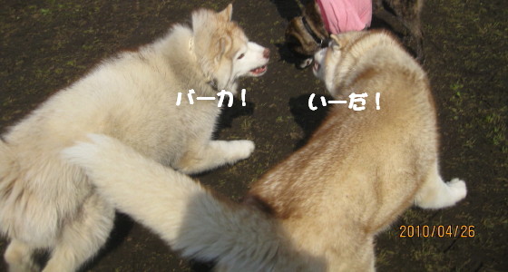 e0121548_22141251.jpg