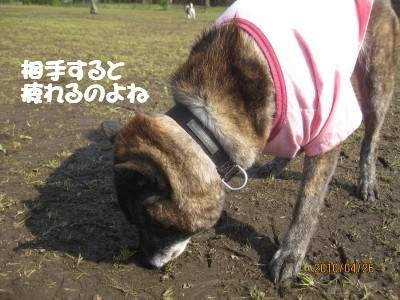 e0121548_2223927.jpg