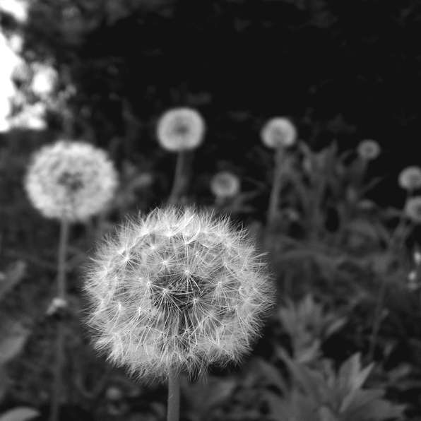 b0075849_10341771.jpg