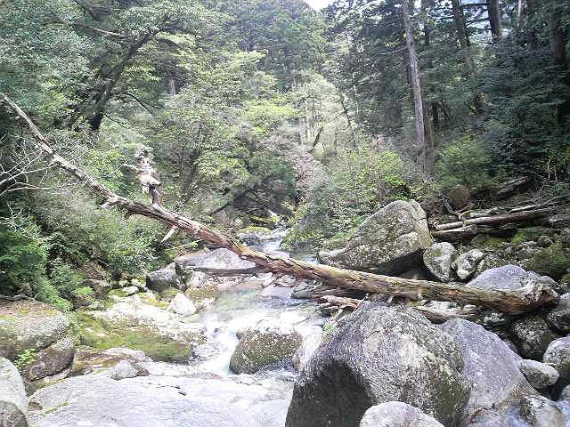 c0025351_16495829.jpg