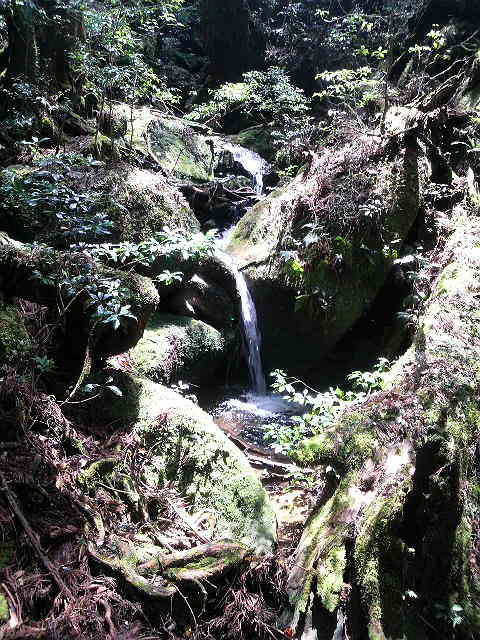 c0025351_16502510.jpg