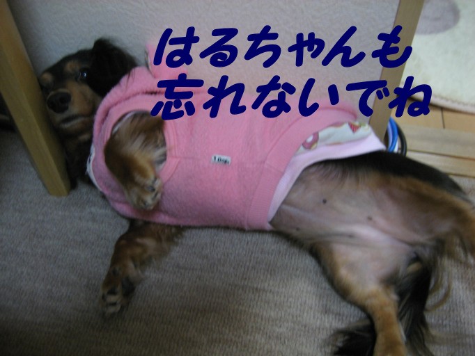 b0160052_1035165.jpg