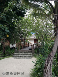 f0190653_843438.jpg
