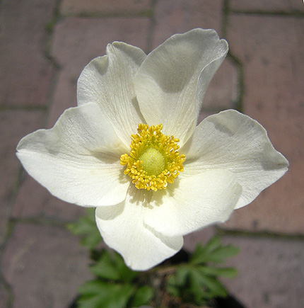 a0001354_232536.jpg