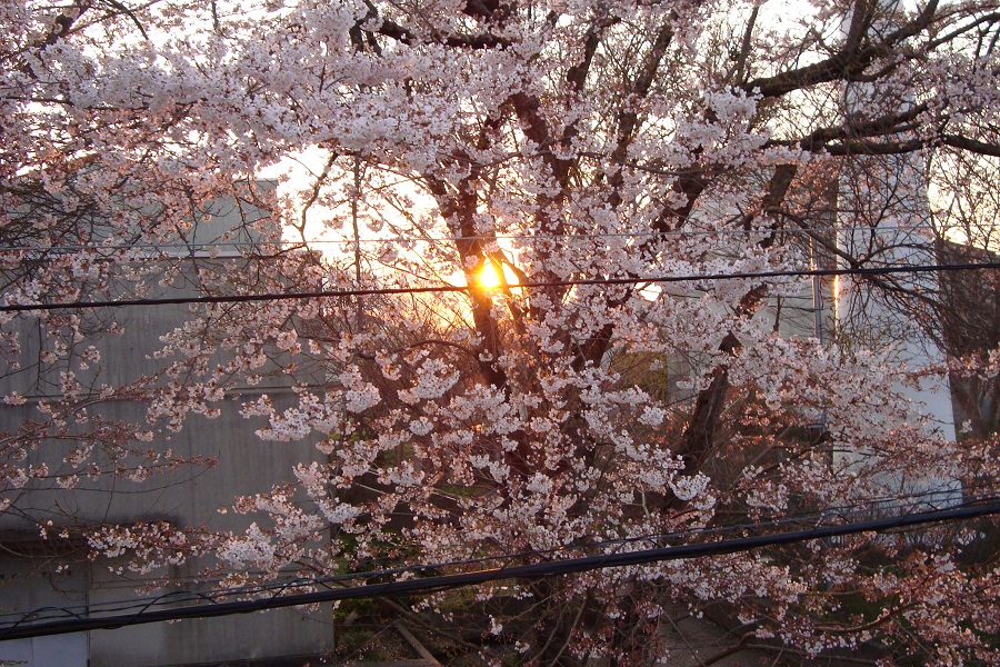 c0130655_1447289.jpg