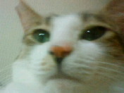 c0052756_23383643.jpg