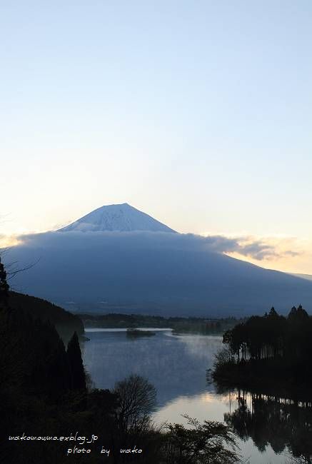f0103860_1158530.jpg