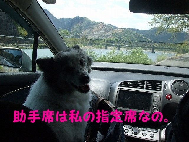 a0104162_6152591.jpg