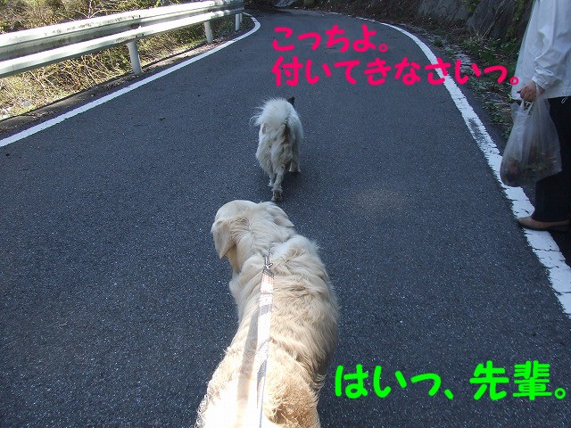 a0104162_6163685.jpg