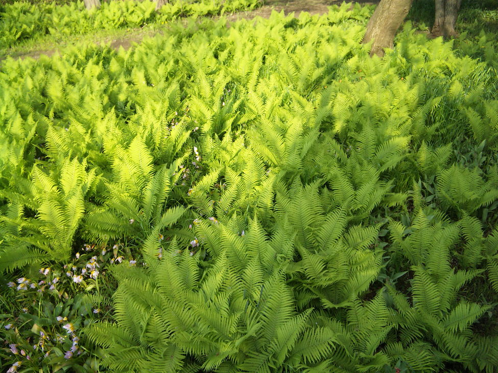 b0101263_04541.jpg