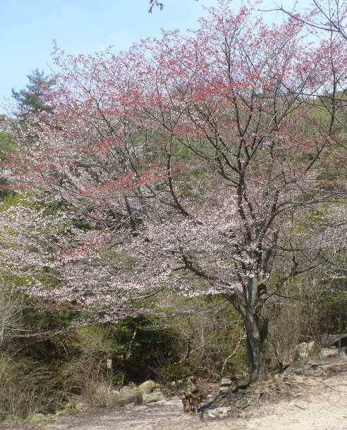 a0063364_23111579.jpg