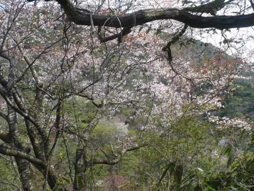 a0063364_23181199.jpg