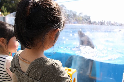 c0213764_1275017.jpg