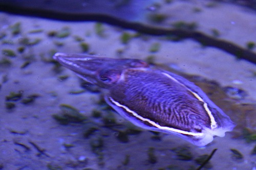 c0213764_1311952.jpg