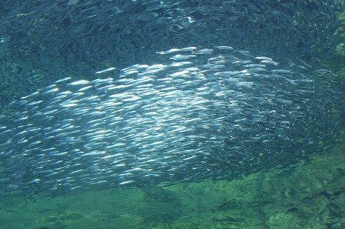 c0213764_1342458.jpg